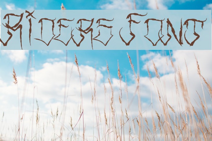 Riders Font Font examples