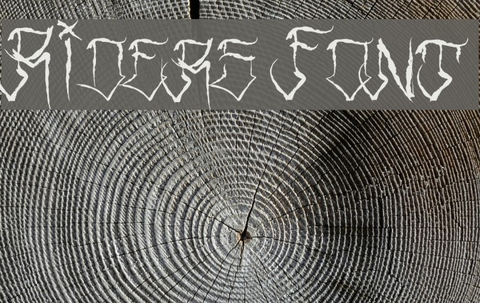 Riders Font Font examples