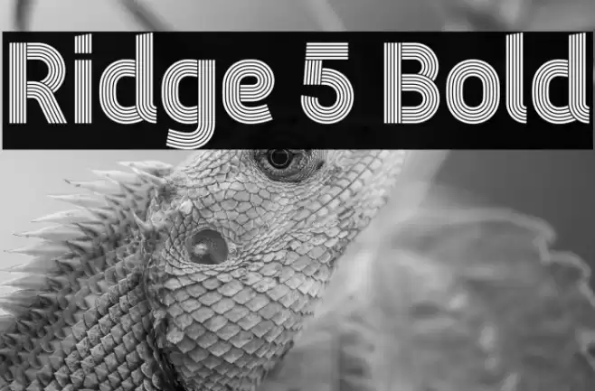 Ridge 5 Bold Caratteri examples