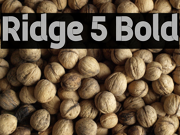 Ridge 5 Bold Example 2