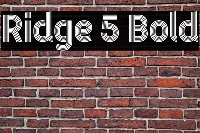 Ridge 5 Bold Example 3