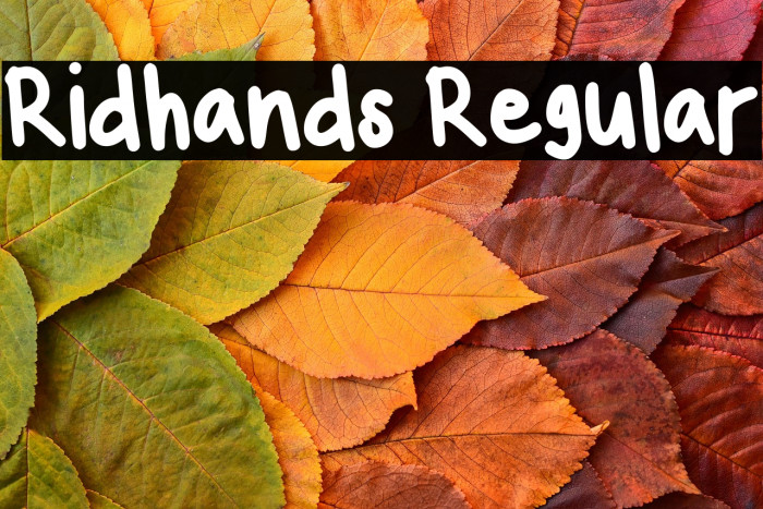 Ridhands Regular Example 2