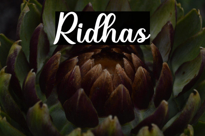 Ridhas Example 3
