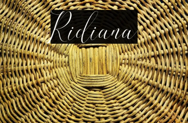 Ridiana Example 2