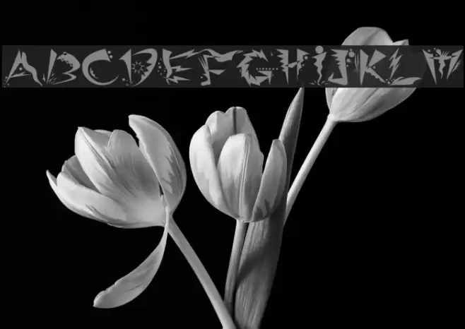 Ridicule Font examples