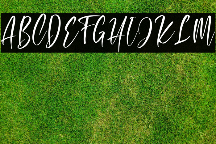 Ridiculous Example 2