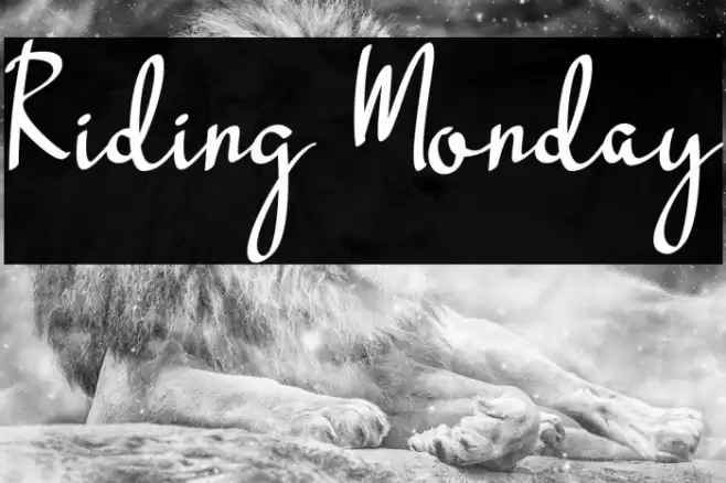 Riding Monday Fonte examples