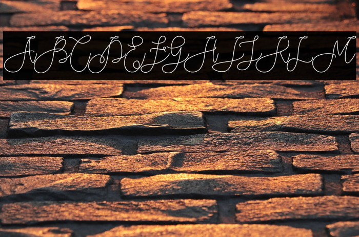 Rieesflomeo Example 3