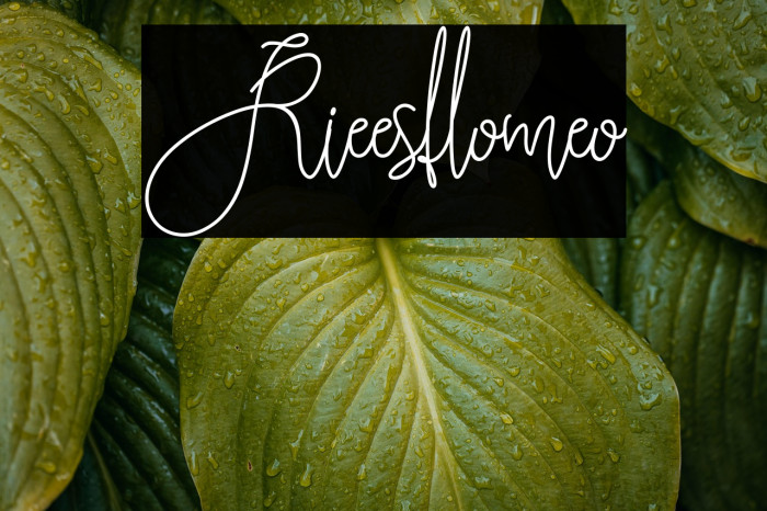Rieesflomeo Example 1
