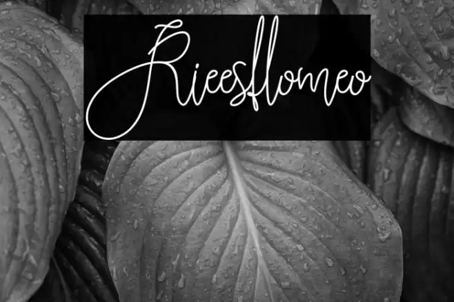 Rieesflomeo Font examples