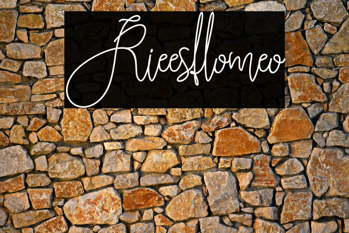 Rieesflomeo Example 2