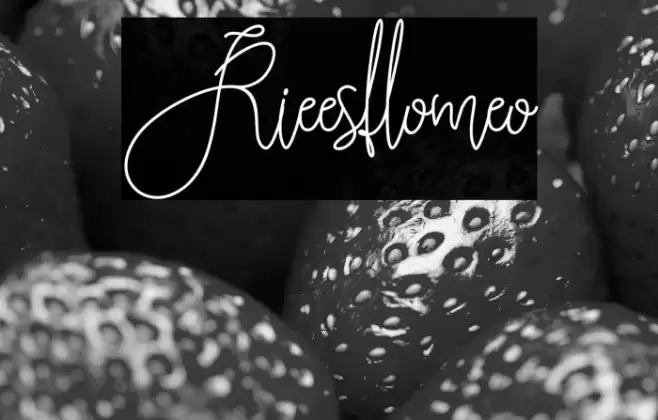 Rieesflomeo Font examples