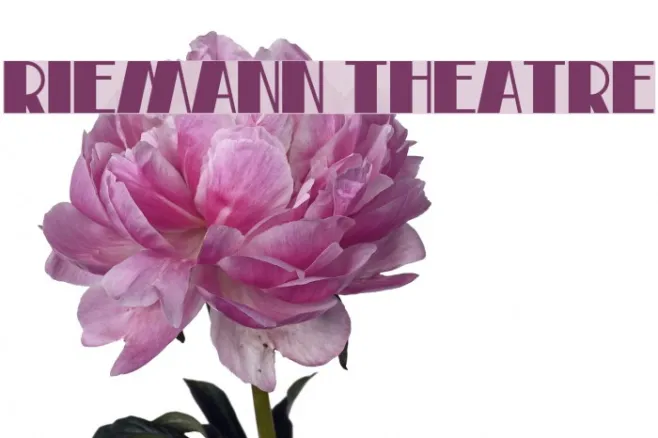 Riemann Theatre Example 2