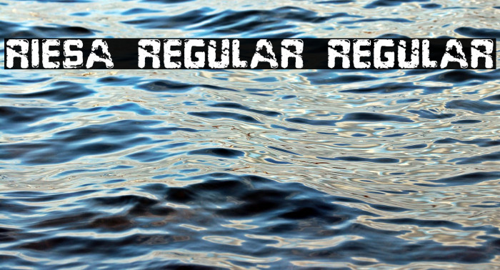 Riesa Regular Regular Example 1