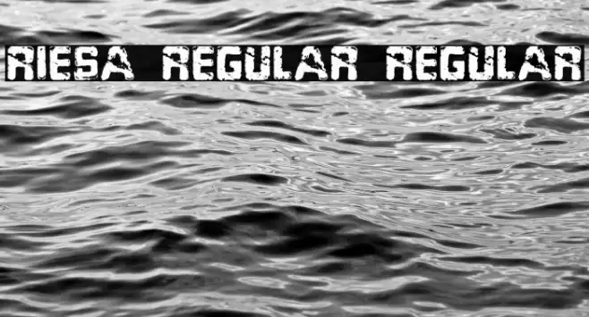 Riesa Regular Regular Font examples