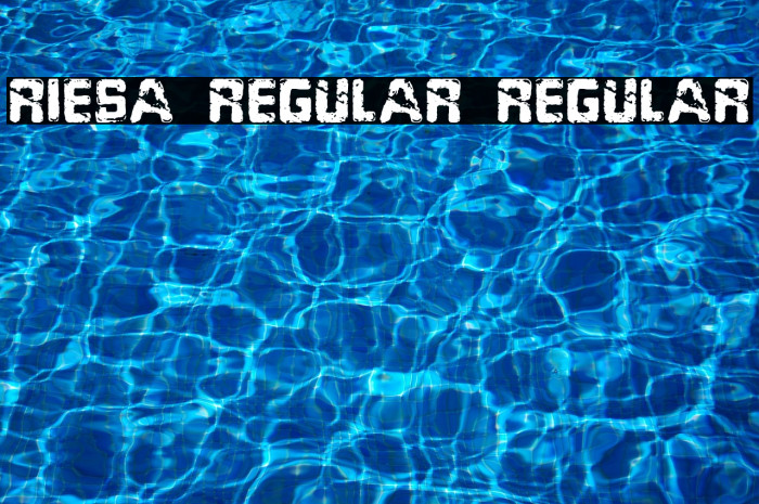 Riesa Regular Regular Example 2