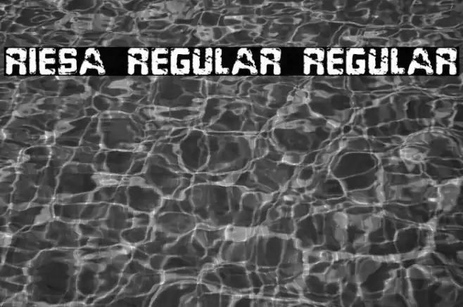 Riesa Regular Regular Font examples