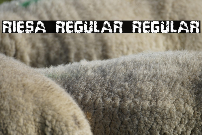 Riesa Regular Regular Example 3