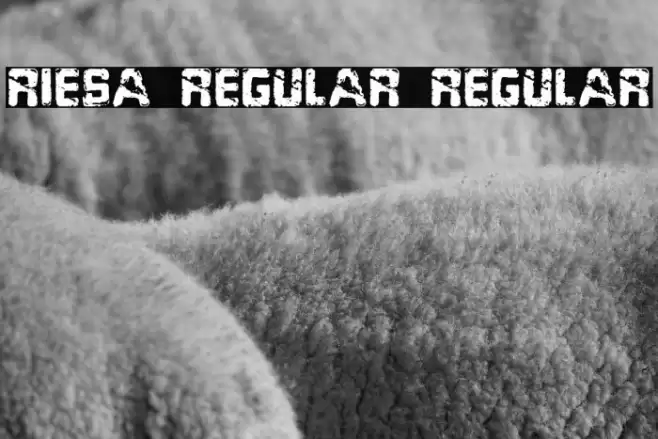 Riesa Regular Regular Font examples