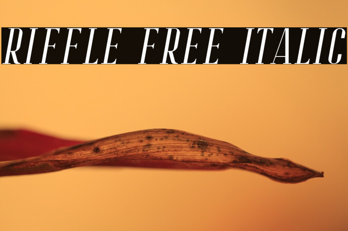 Riffle Free Italic Example 1