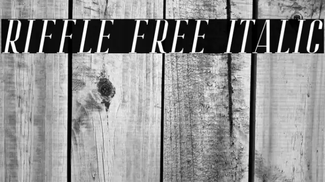 Riffle Free Italic Font examples