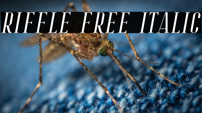 Riffle Free Italic Example 3