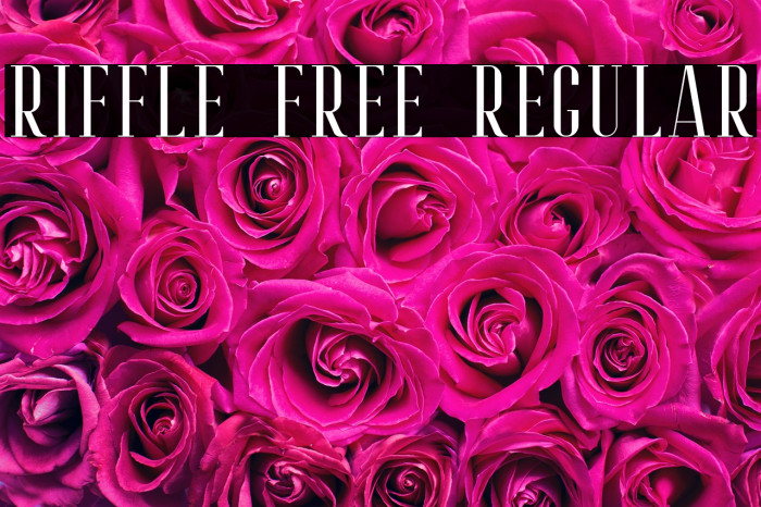 Riffle Free Regular Example 2