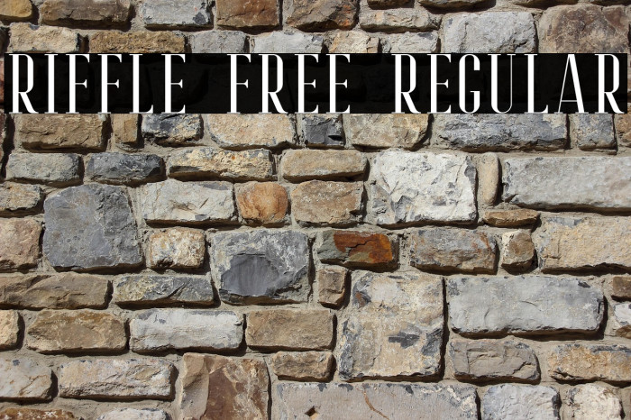 Riffle Free Regular Example 3