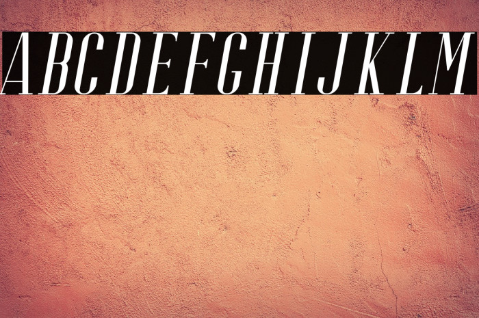 RiffleFree-Italic Example 1