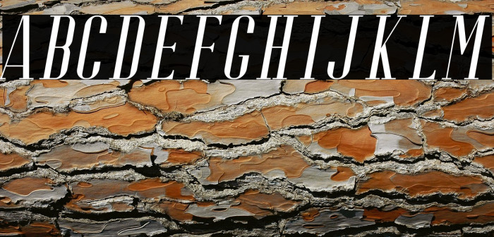 RiffleFree-Italic Example 2