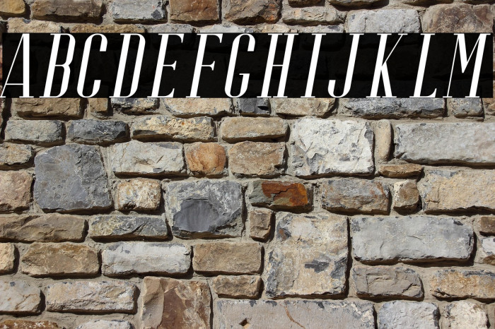 RiffleFree-Italic Example 3