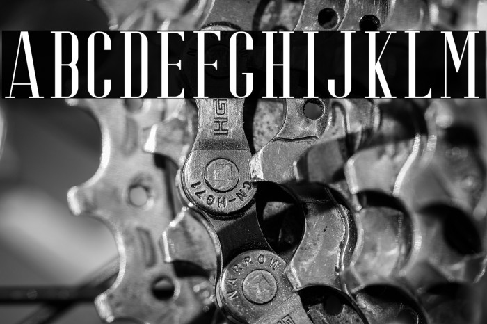 RiffleFree-Regular Example 2