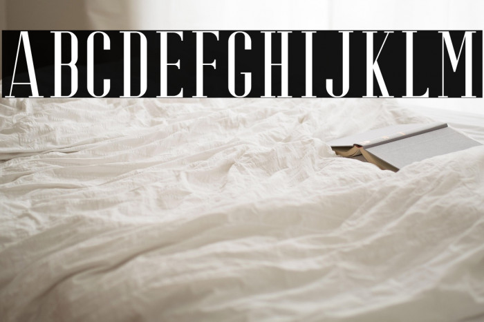 RiffleFree-Regular Example 3