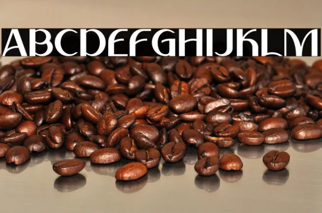 Rifieka Example 3