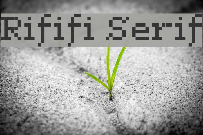 Rififi Serif Font examples