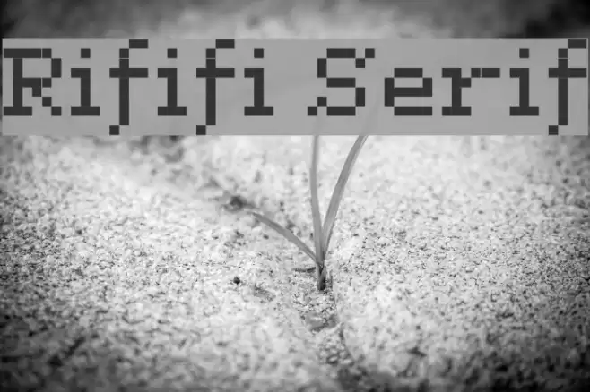 Rififi Serif Schriftart examples