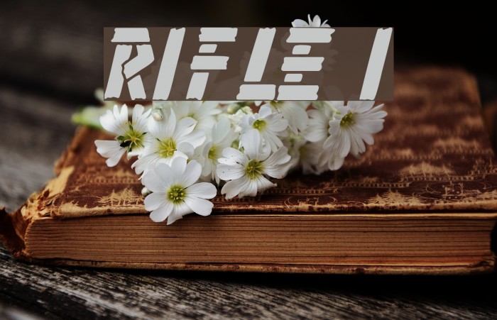 Rifle 1 Font examples