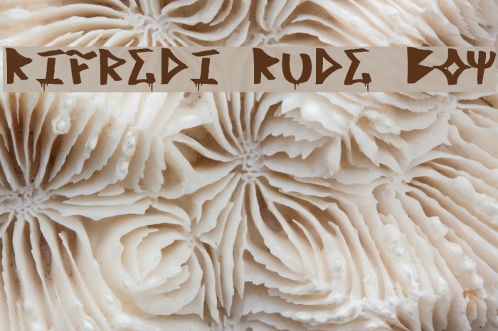 Rifredi Rude Boy Font examples