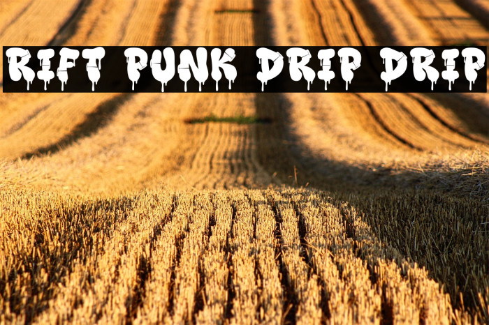 Rift Punk Drip Drip フォント examples