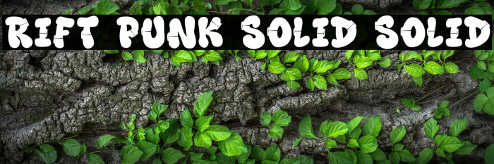 Rift Punk Solid Solid Caratteri examples