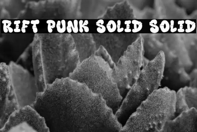 Rift Punk Solid Solid Schriftart examples
