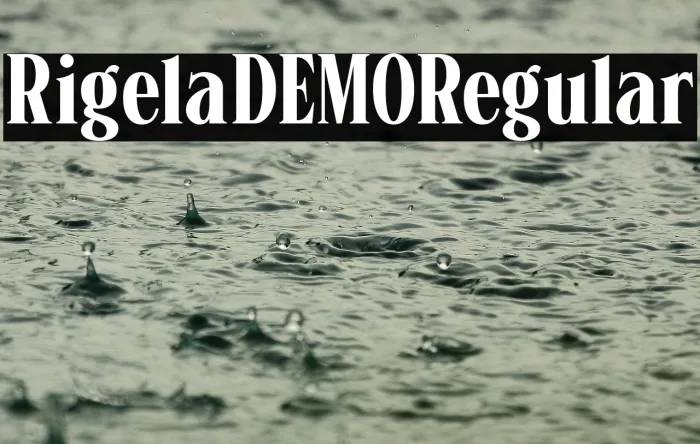 Rigela DEMO Regular Example 1