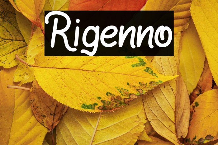 Rigenno Example 1