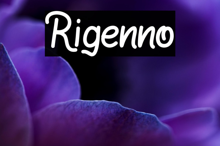 Rigenno Example 2