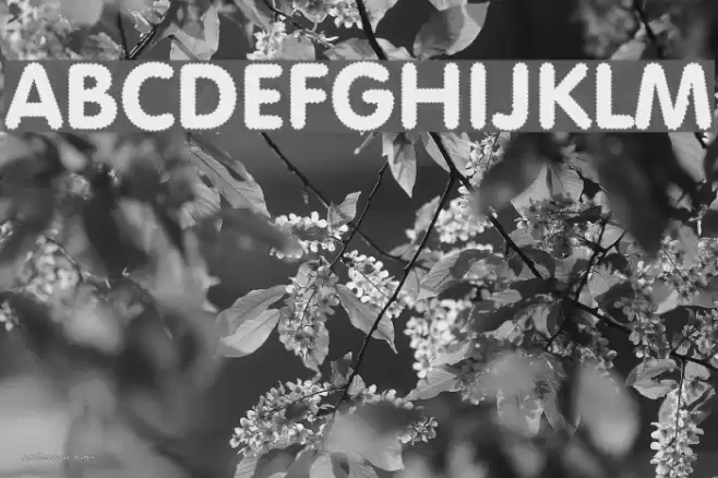 Riggle Schriftart examples