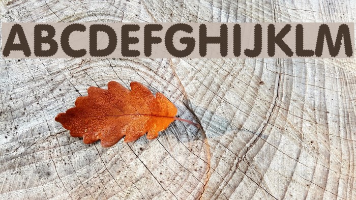 Riggle Font examples