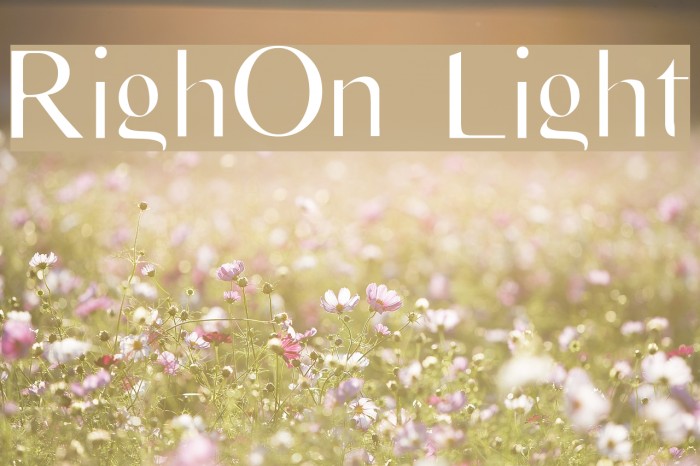 RighOn Light Font examples