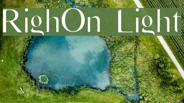 RighOn Light Font examples