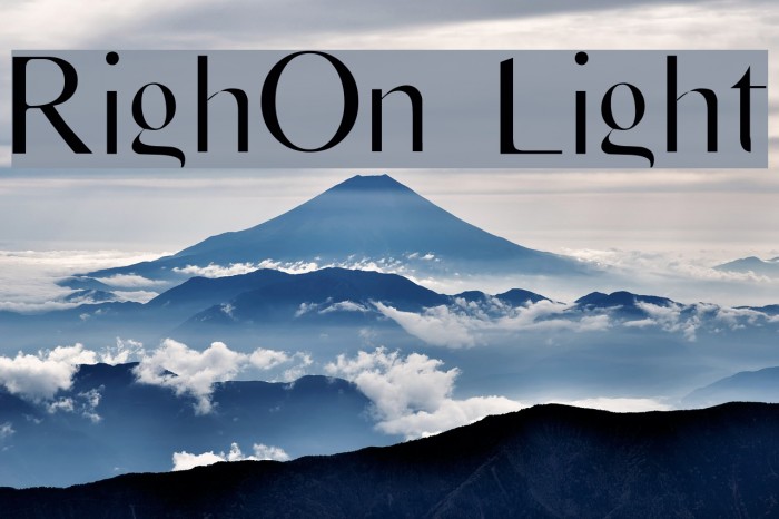 RighOn Light Font examples