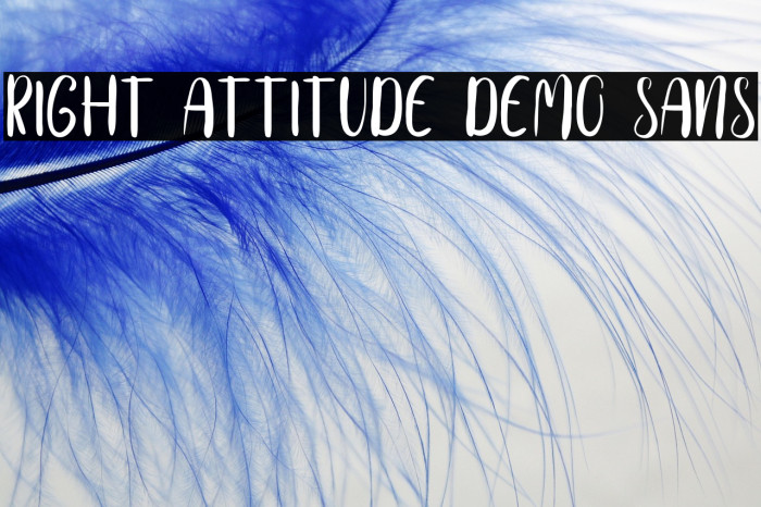 Right Attitude Demo Sans Example 1